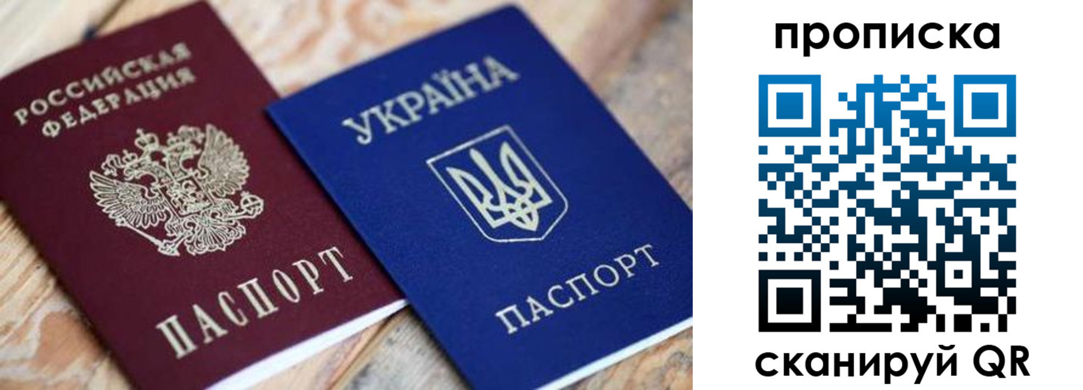 прописка поиск в Камешково